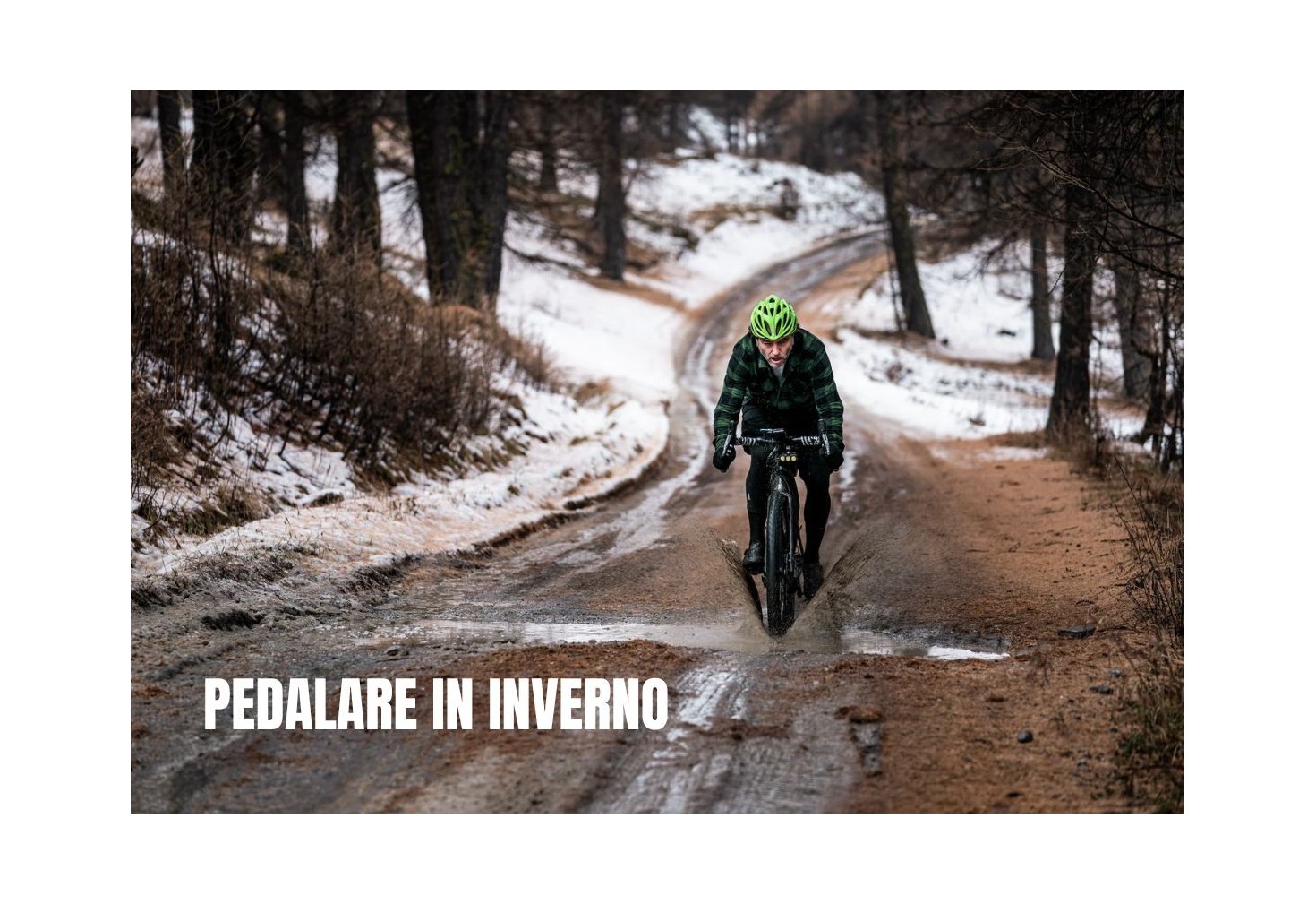 Morbi condimentum molestie Nam enim odio sodales